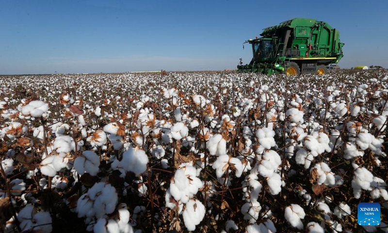 A machine collects cotton at Santa Colomba farm in Bahia state, Brazil, June 14, 2022. Brazil is one of the world's leading cotton producers and exporters.(Photo: Xinhua)