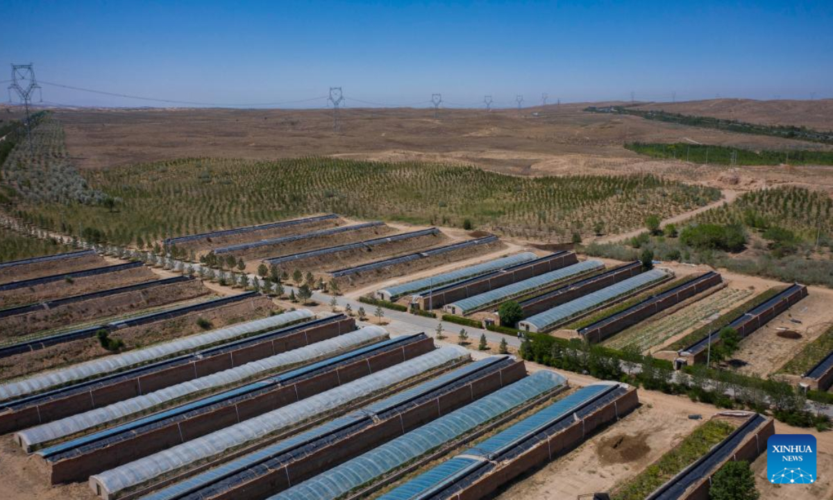 Aerial photo taken on June 14, 2022 shows grape greenhouses in the Baijitan national ecological reserve of Lingwu, northwest China's Ningxia Hui Autonomous Region. Photo:Xinhua