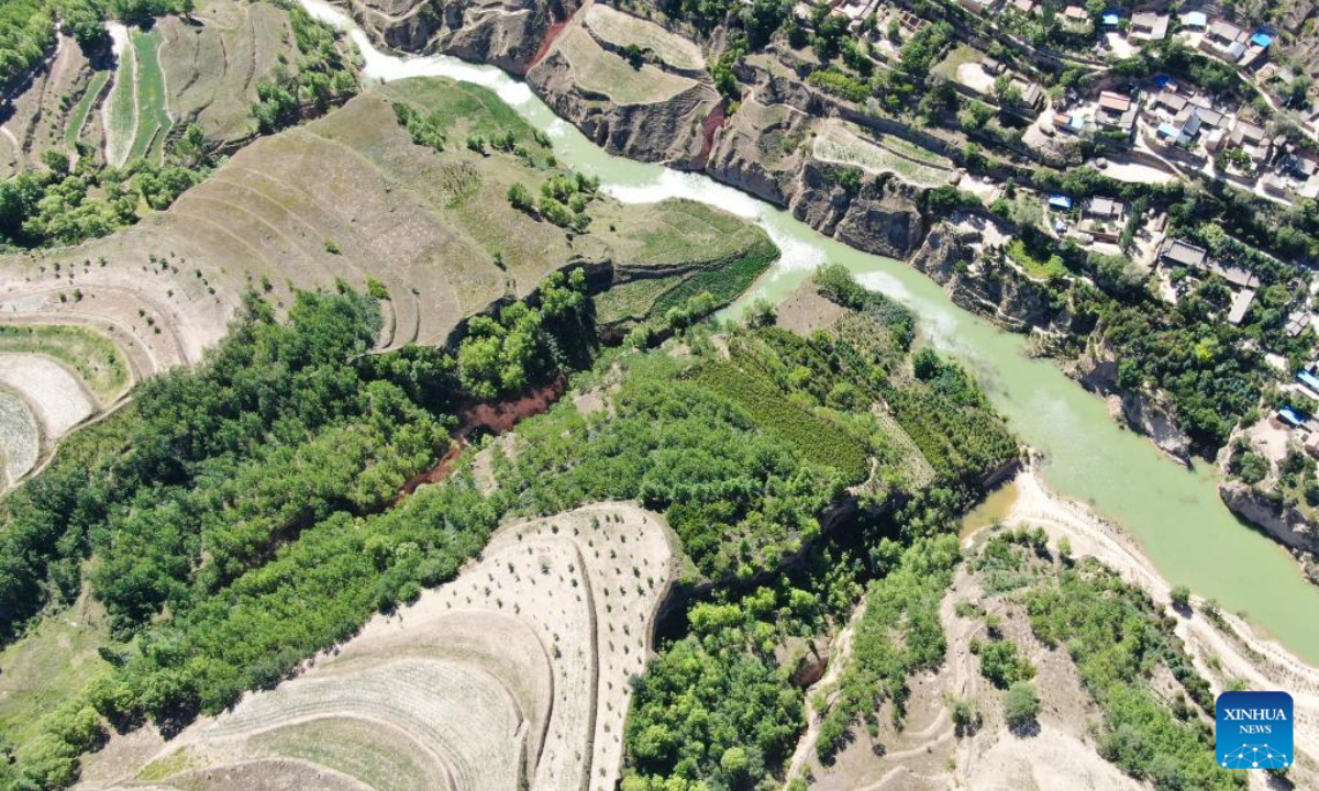 Aerial photo shows green hillside with trees planted by twin brothers Xu Zhigang and Xu Zhiqiang in Zhangchuan Village of Tongwei County, northwest China's Gansu Province, June 15, 2022. Photo:Xinhua