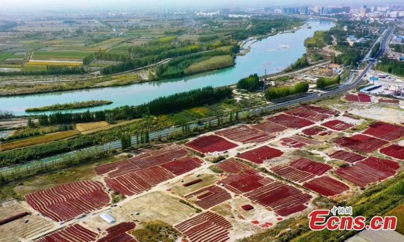 Aerial view of a massive collection of chili peppers dried in the sun in Bohu County, northwest China's Xinjiang Uyghur Autonomous Region, June 14, 2022. (Photo: China News Service/Nian Lei)