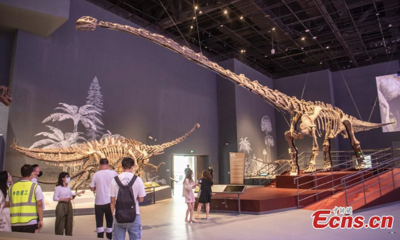 A 22-meter-long Mamenchisaurus skeleton, one of the largest sauropods dinosaurs found in China is on display in the Chengdu Natural History Museum, Chengdu, southwest China's Sichuan Province, June 15, 2022. (Photo: China News Service/Liu Zhongjun) The Chengdu Natural History Museum has completed all procedures to host exhibitions soon. The museum involves six exhibition halls of different themes including geological environment, mineral resources, and dinosaur fossils, covering a total area of 17,005 square meters.