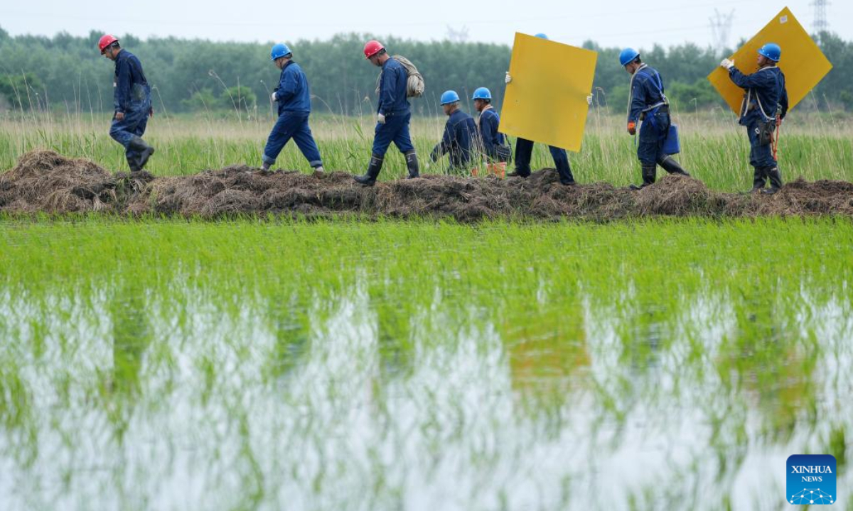 Electricians carry bird protecting boards to install on power transmission towers in Qiqihar, northeast China's Heilongjiang Province, June 15, 2022. Photo:Xinhua