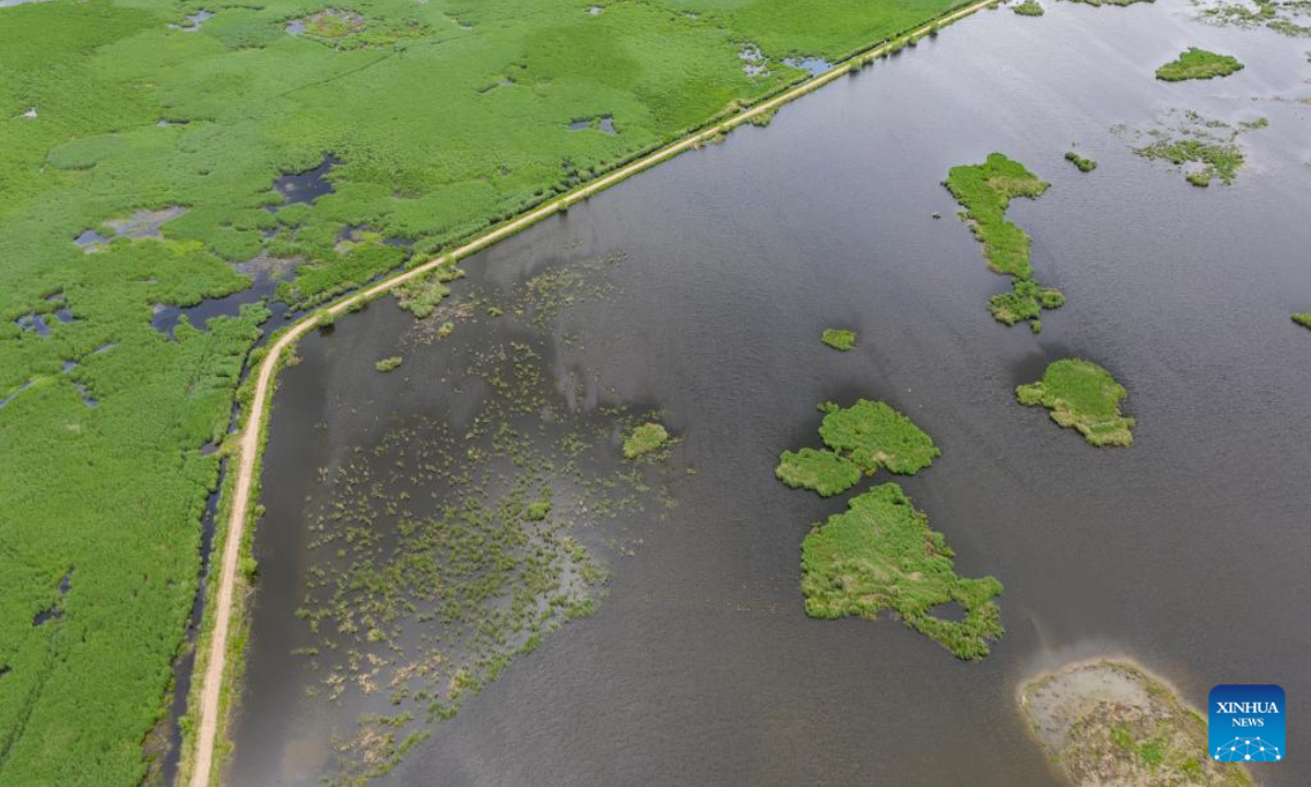 Aerial photo taken on June 17, 2022 shows the scenery of Qixinghe National Nature Reserve in Baoqing County, Shuangyashan City, northeast China's Heilongjiang Province. Photo:Xinhua