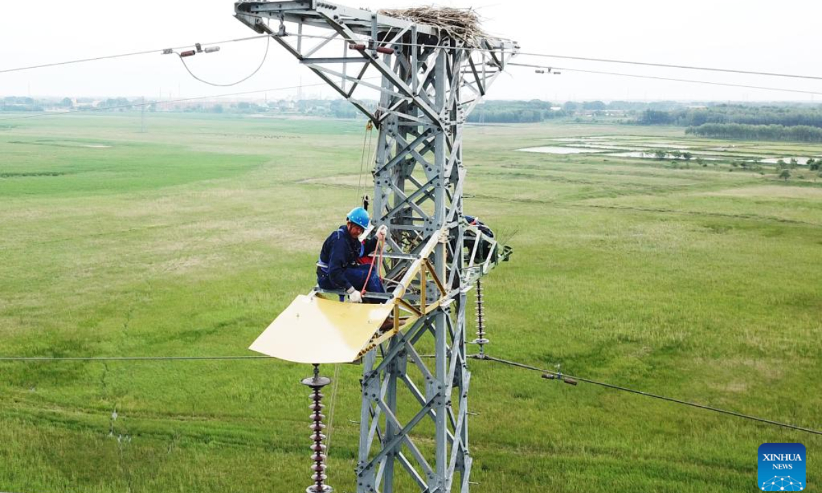 Aerial photo taken on June 15, 2022 shows electricians installing bird protecting boards under the nest of oriental white storks on a power transmission tower in Qiqihar, northeast China's Heilongjiang Province. Photo:Xinhua