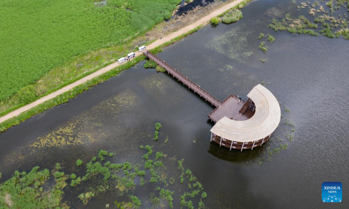 Aerial photo taken on June 17, 2022 shows the scenery of Qixinghe National Nature Reserve in Baoqing County, Shuangyashan City, northeast China's Heilongjiang Province. Photo:Xinhua