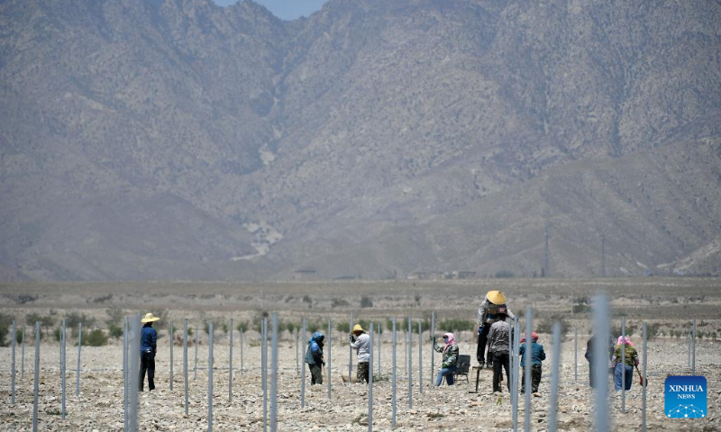 Workers put up grape trellis on the construction site of the Turandot Winery Town project in Yinchuan, northwest China's Ningxia Hui Autonomous Region, June 14, 2022. (Xinhua/Wang Peng)