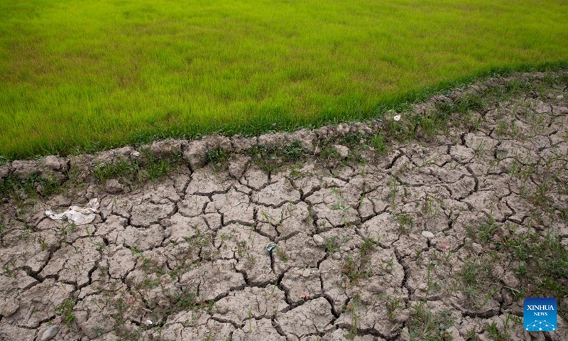Photo taken on June 17, 2022 shows cracked soil at a village in Pulwama district, about 30km south of Srinagar city, the summer capital of Indian-controlled Kashmir. Local water level in rivers that used to irrigate agricultural fields has drastically fallen due to unusual high temperatures.(Photo: Xinhua)
