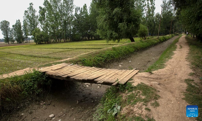 Photo taken on June 17, 2022 shows a dried irrigation canal near paddy fields at a village in Pulwama district, about 30km south of Srinagar city, the summer capital of Indian-controlled Kashmir. Local water level in rivers that used to irrigate agricultural fields has drastically fallen due to unusual high temperatures.(Photo: Xinhua)