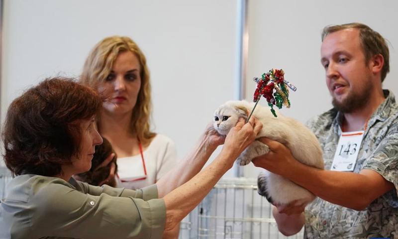 A woman checks a cat at the Latvian Winner 2022 international dog and cat show in Riga, Latvia, on June 18, 2022.Photo:Xinhua
