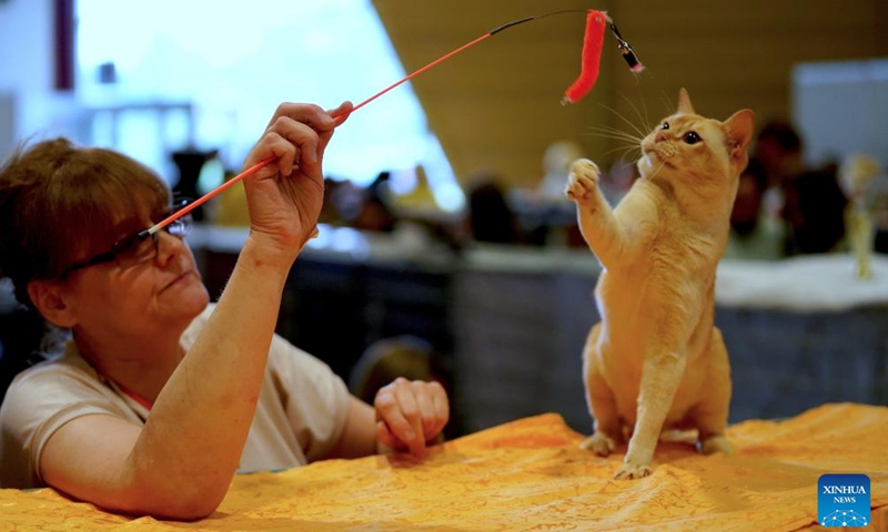 A woman interacts with a cat at the Latvian Winner 2022 international dog and cat show in Riga, Latvia, on June 18, 2022.Photo:Xinhua