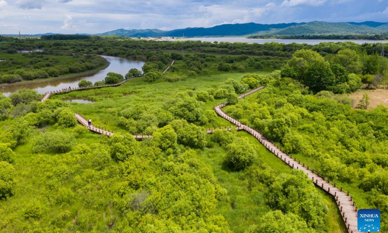 Aerial photo taken on June 19, 2022 shows the scenery of the Wusuli River National Wetland Park in northeast China's Heilongjiang Province.Photo:Xinhua
