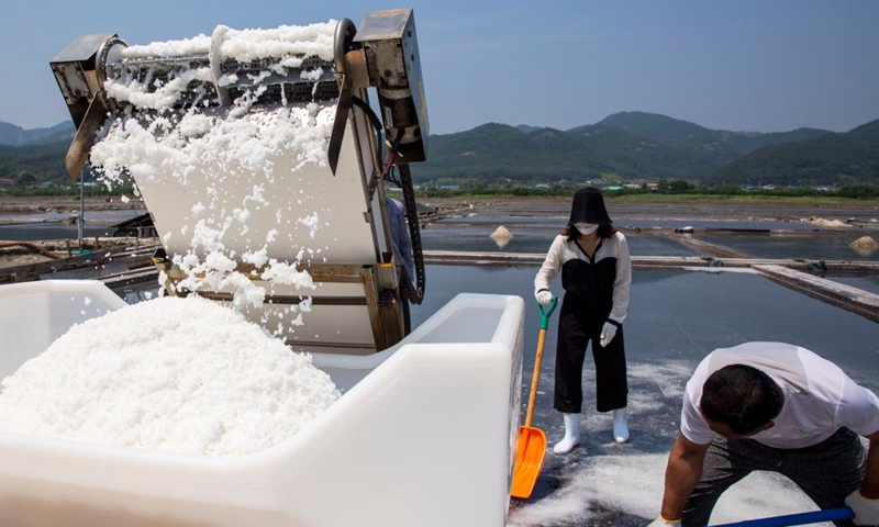 People load up a container with salt crystals in a sea salt making pond in Buan County, North Jeolla Province, South Korea, June 21, 2022. Located in coastal area, the chequered salt ponds here maintain the traditional practice of producing salt.(Photo: Xinhua)