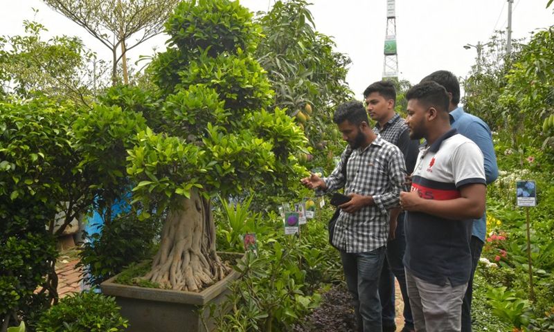 People view topiary plants on display during the National Tree Fair in Dhaka, Bangladesh, June 20, 2022.(Photo: Xinhua)