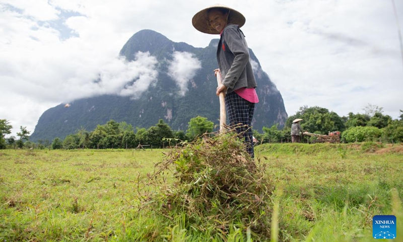 A villager works in a paddy field in Muang Fueng, a rising tourist town some 100 km north of Lao capital Vientiane, June 18, 2022.(Photo: Xinhua)