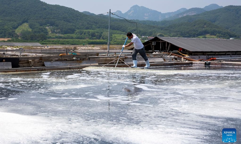 A man shoves salt crystals in a sea salt making pond in Buan County, North Jeolla Province, South Korea, June 21, 2022. Located in coastal area, the chequered salt ponds here maintain the traditional practice of producing salt.(Photo: Xinhua)