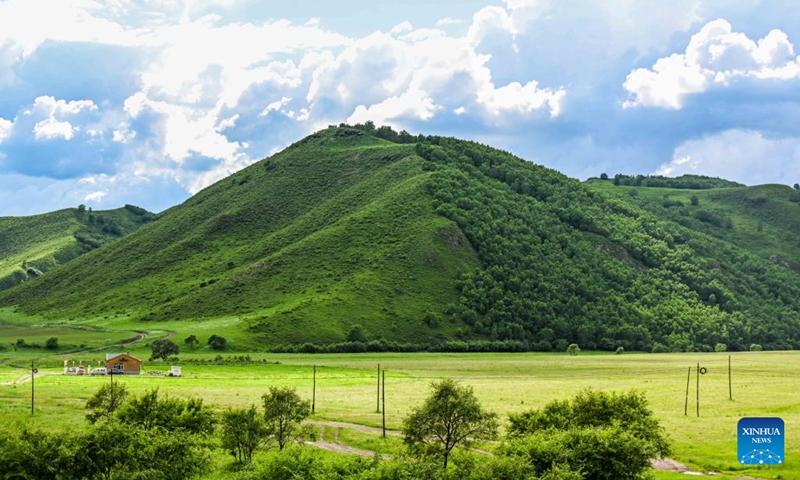 Photo taken on June 23, 2022 shows the scenery of a mountain in Arxan of Hinggan League, north China's Inner Mongolia Autonomous Region.(Photo: Xinhua)