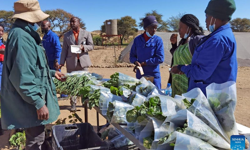 A man buys vegetables at an agricultural project in Windhoek, Namibia on June 22, 2022. A smart agricultural project in Namibia's capital city, Windhoek is empowering city dwellers to tackle hunger and enterprise sustainable futures through farming practices at Farm Okukuna.(Photo: Xinhua)