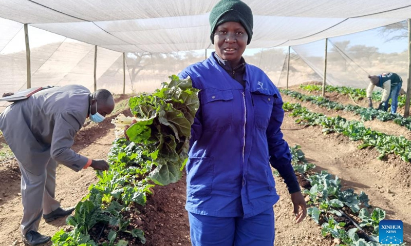 A farmer displays her plants at an agricultural project in Windhoek, Namibia on June 22, 2022. A smart agricultural project in Namibia's capital city, Windhoek is empowering city dwellers to tackle hunger and enterprise sustainable futures through farming practices at Farm Okukuna.(Photo: Xinhua)