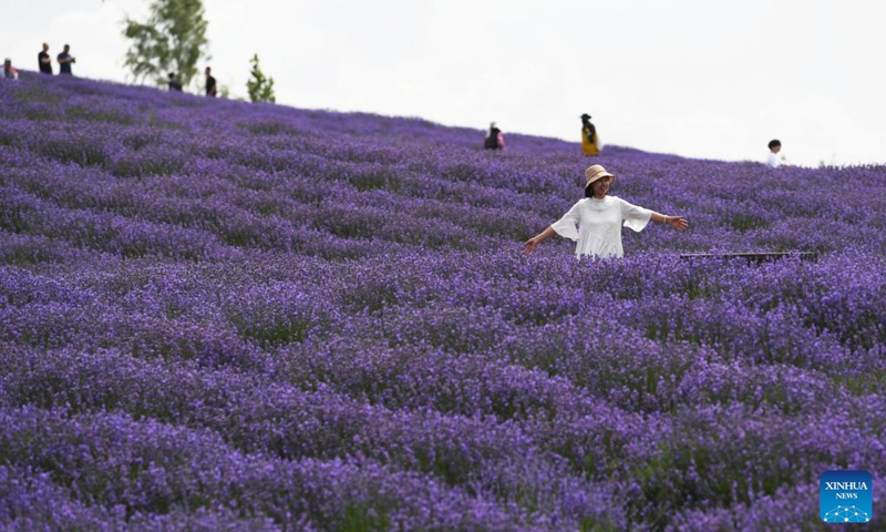 Tourists pose for photos in lavender fields in Sigong Village, Huocheng County of northwest China's Xinjiang Uygur Autonomous Region, June 19, 2022. Sigong Village has planted 12,000 mu (about 800 hectares) of lavender. The lavender planting bases here have promoted local tourism and lavendar processing industry. In 2021, per capita income in Silong Village reached 25,000 yuan (3,735 US dollars). (Xinhua/Zhao Ge)