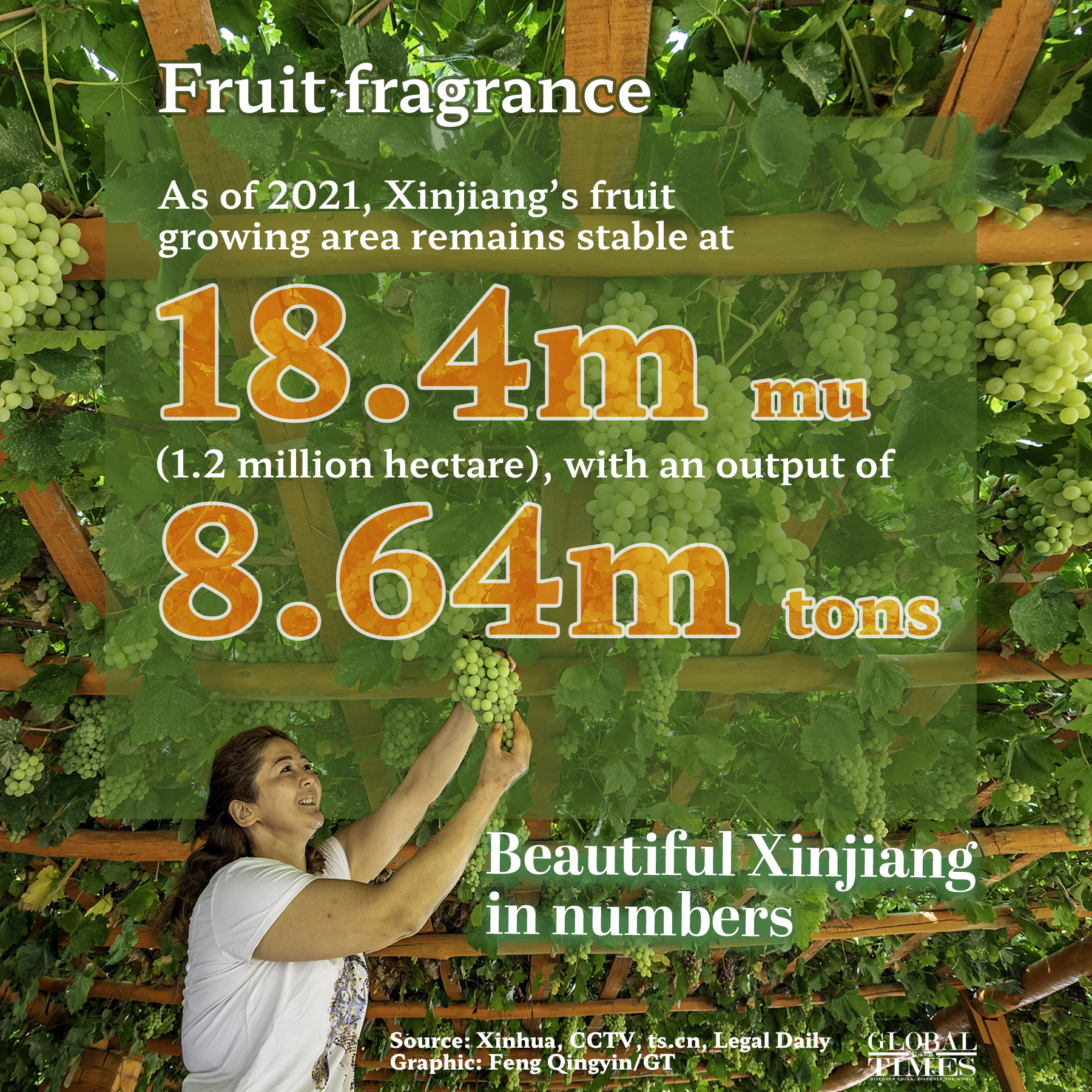 Beautiful Xinjiang in numbers Graphic: Feng Qingyin/GT