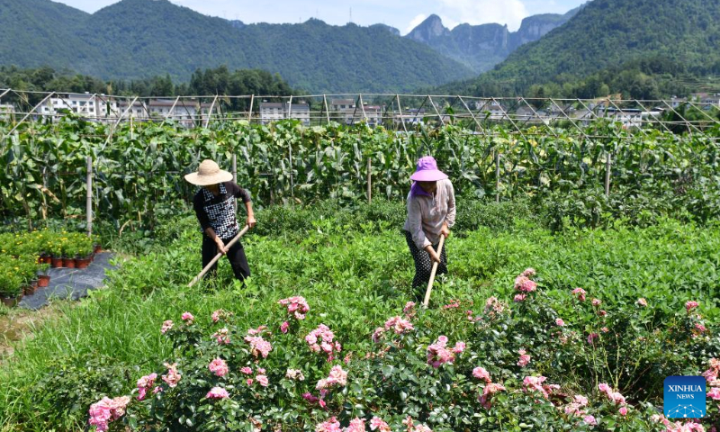 Farmers work in a field in Chenjiaba Village of Zigui County, central China's Hubei Province, July 6, 2022. (Photo by Wang Huifu/Xinhua)