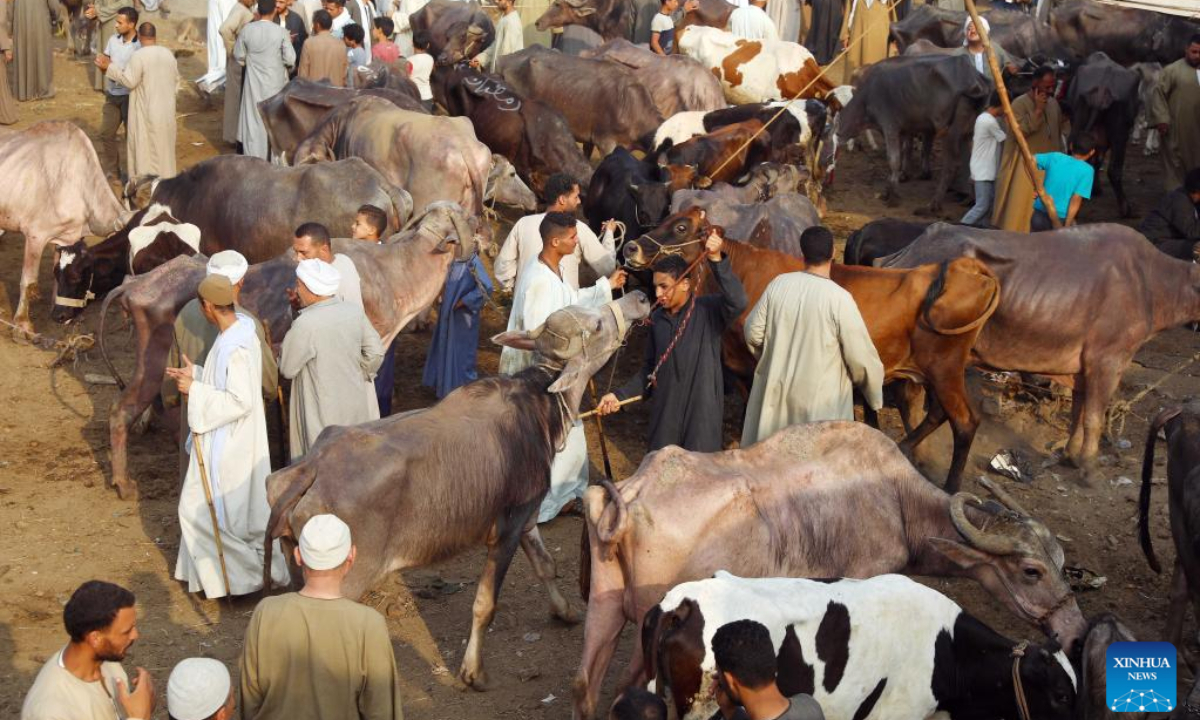 People trade at a livestock market ahead of the Eid al-Adha, on the outskirts of Giza, Egypt, on July 1, 2022. Photo:Xinhua