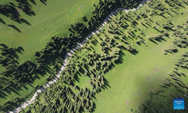 Aerial photo taken on June 28, 2022 shows a view of Narat scenic spot in Xinyuan County, northwest China's Xinjiang Uygur Autonomous Region. (Xinhua/Hao Jianwei)