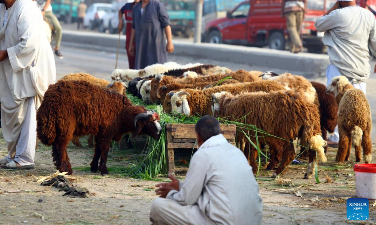 People trade at a livestock market ahead of the Eid al-Adha, on the outskirts of Giza, Egypt, on July 1, 2022. Photo:Xinhua