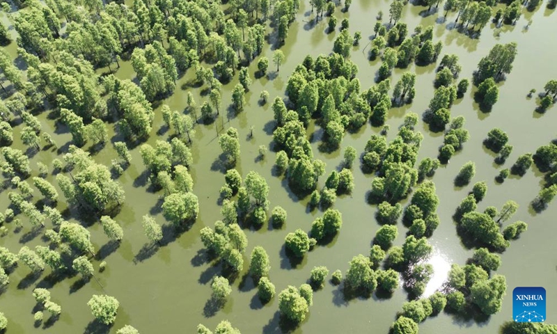 Aerial photo taken on June 25, 2022 shows a view of the Chishan Lake National Wetland Park in Chuzhou, east China's Anhui Province.Photo:Xinhua