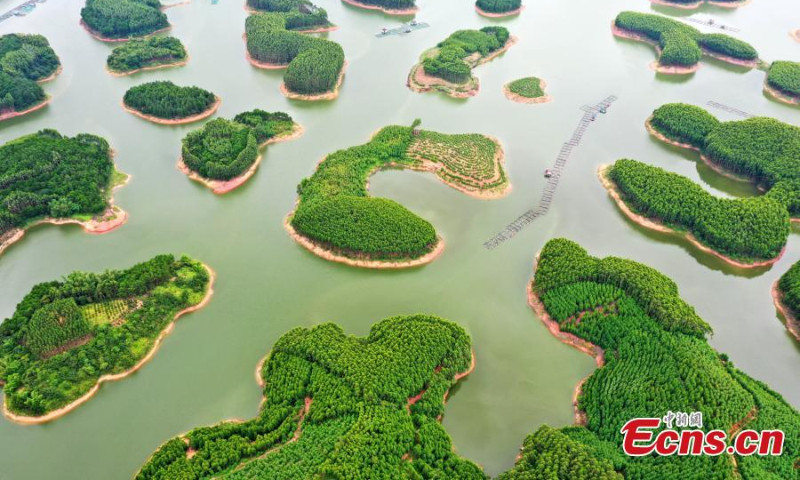岛屿为中国南部广西壮族自治区南宁市的屯流水库增添了魅力。  （图片：中新社/何广民）