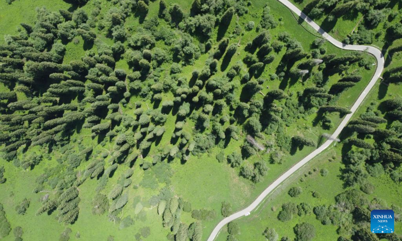 Aerial photo taken on June 28, 2022 shows a view of Narat scenic spot in Xinyuan County, northwest China's Xinjiang Uygur Autonomous Region. (Xinhua/Hao Jianwei)