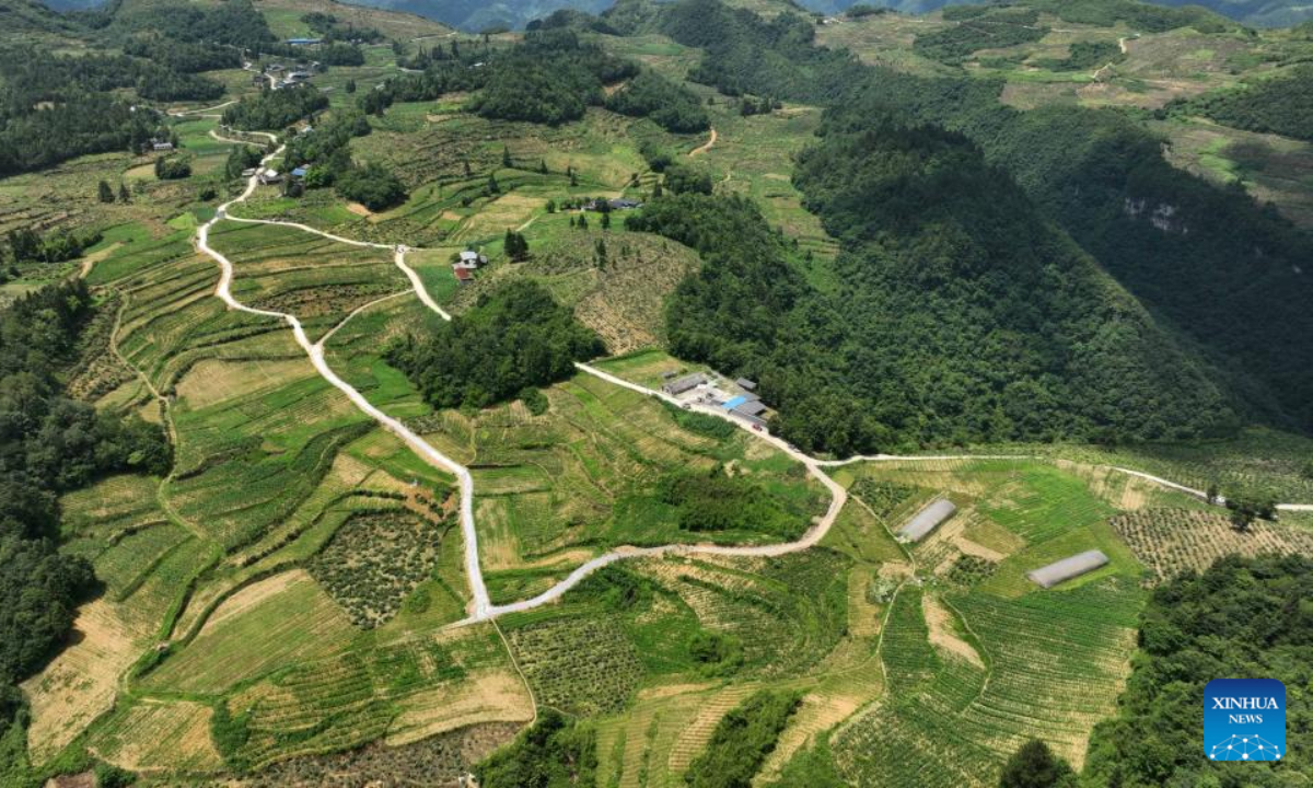Aerial photo taken on July 1, 2022 shows a honeysuckle plantation base in Suiyang County, southwest China's Guizhou Province. The local government has been making efforts in developing industries related with honeysuckle, which has entered its harvest season lately. Photo:Xinhua