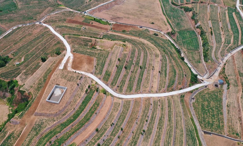 Aerial photo taken on June 27, 2022 shows terraced fields in Huojiagou Village of Shimen Town in Lulong County, north China's Hebei Province. Recent years Lulong County has implemented the land transformation of barren hills and wild grass land into terraced fields. Farming facilities including field paths and drainage channels have been constructed to improve agricultural production conditions.(Photo: Xinhua)