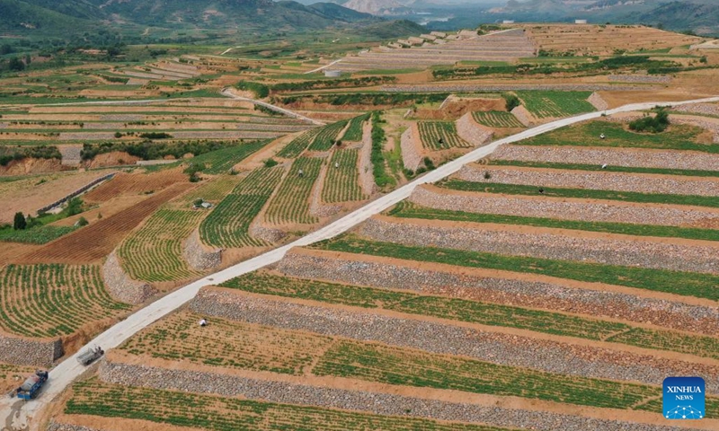 Aerial photo taken on June 27, 2022 shows terraced fields in Huojiagou Village of Shimen Town in Lulong County, north China's Hebei Province. Recent years Lulong County has implemented the land transformation of barren hills and wild grass land into terraced fields. Farming facilities including field paths and drainage channels have been constructed to improve agricultural production conditions.(Photo: Xinhua)