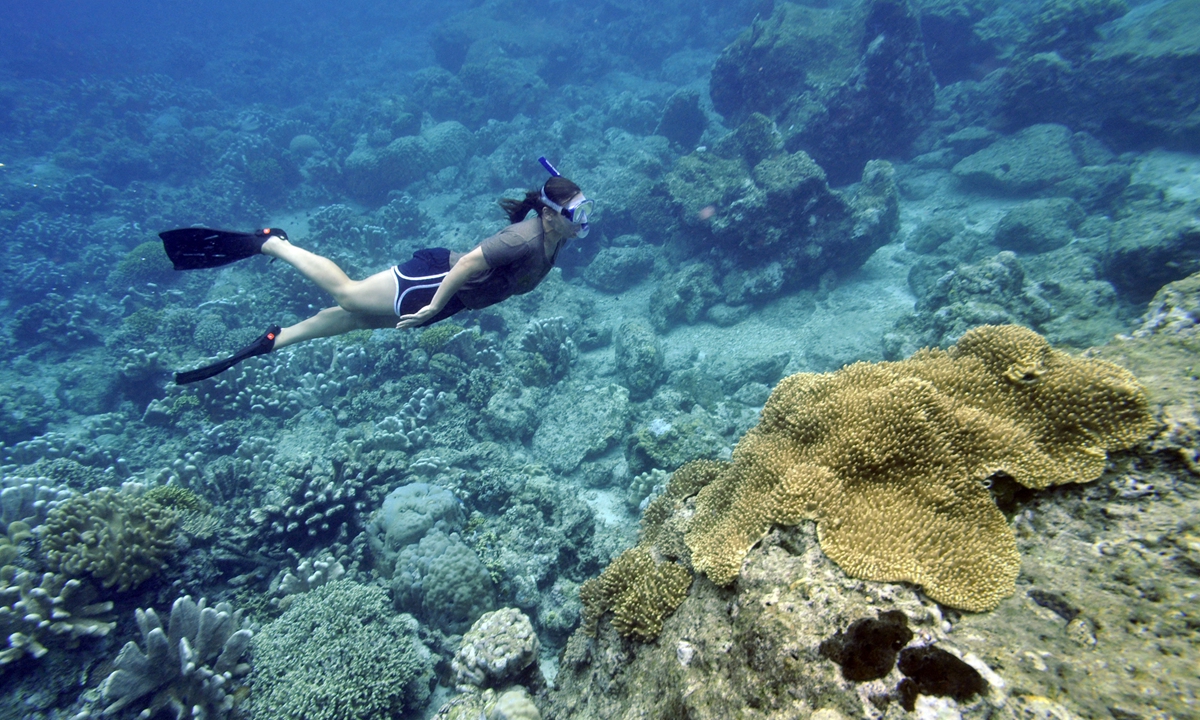 A diver explores the coral reef at the Bunaken Island marine protected national park in Manado, Indonesia on May 13, 2009 as the capital city of northern Sulawesi hosts the World Ocean Conference. Photo: AFP