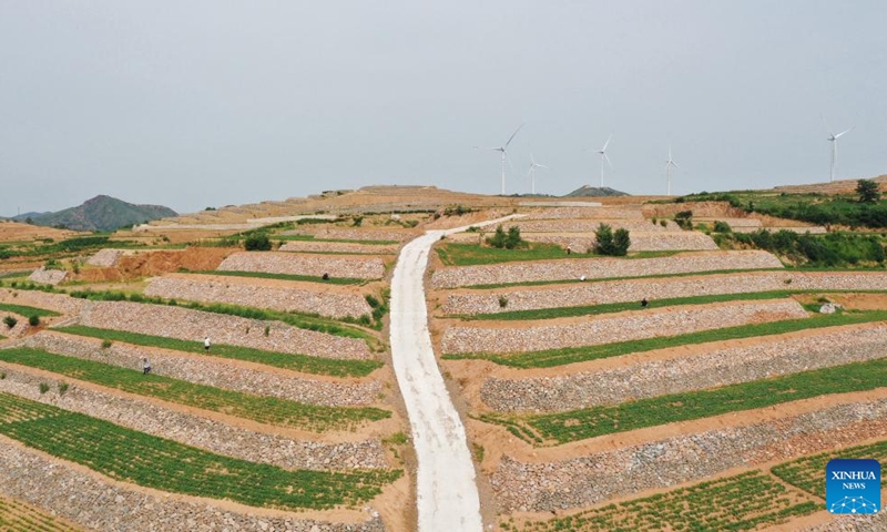 Aerial photo taken on June 27, 2022 shows villagers working in terraced fields in Huojiagou Village of Shimen Town in Lulong County, north China's Hebei Province. Recent years Lulong County has implemented the land transformation of barren hills and wild grass land into terraced fields. Farming facilities including field paths and drainage channels have been constructed to improve agricultural production conditions.(Photo: Xinhua)