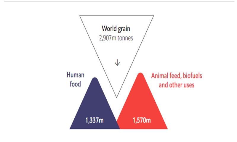 Photo: A screenshot from The Economist
