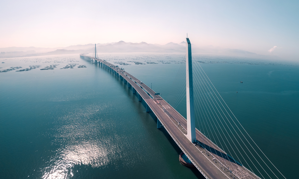 Aerial view of Shenzhen Bay Bridge Photo: VCG