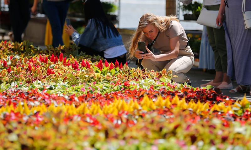 People take pictures during an annual flower festival outside the GUM department store near Red Square in central Moscow, Russia, on July 1, 2022.(Photo: Xinhua)