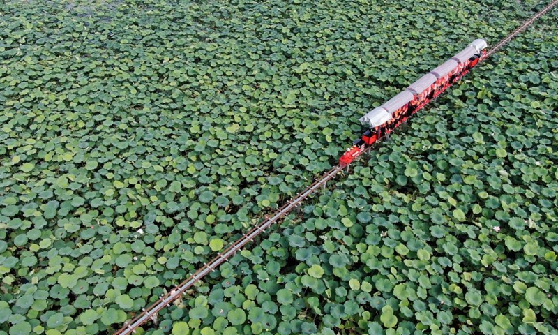 Aerial photo taken on July 2, 2022 shows visitors taking a sightseeing mini train to enjoy lotus flowers at Longde Lake in Jinghong City of Xishuangbanna Dai Autonomous Prefecture, southwest China's Yunnan Province.Photo:Xinhua