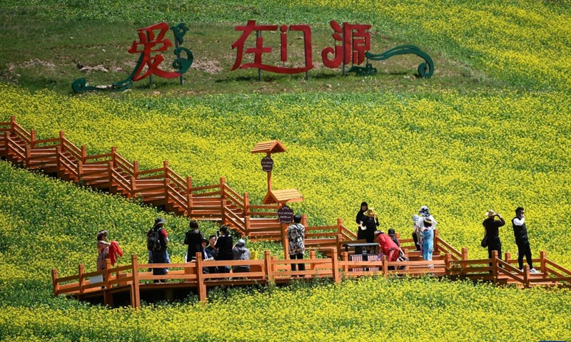 Visitors are seen among cole flower fields at a scenic spot in Menyuan Hui Autonomous County of Haibei Tibetan Autonomous Prefecture, northwest China's Qinghai Province, July 3, 2022.Photo:Xinhua