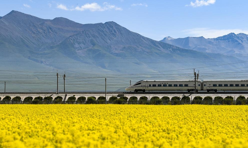 A train passes by cole flower fields in Menyuan Hui Autonomous County of Haibei Tibetan Autonomous Prefecture, northwest China's Qinghai Province, July 3, 2022.Photo:Xinhua