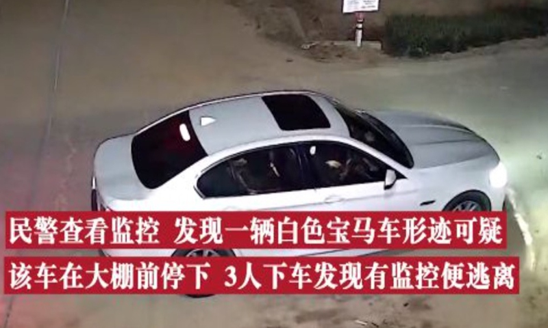 The white car shows in security camera outside of the greenhouse. Screenshot of D Video