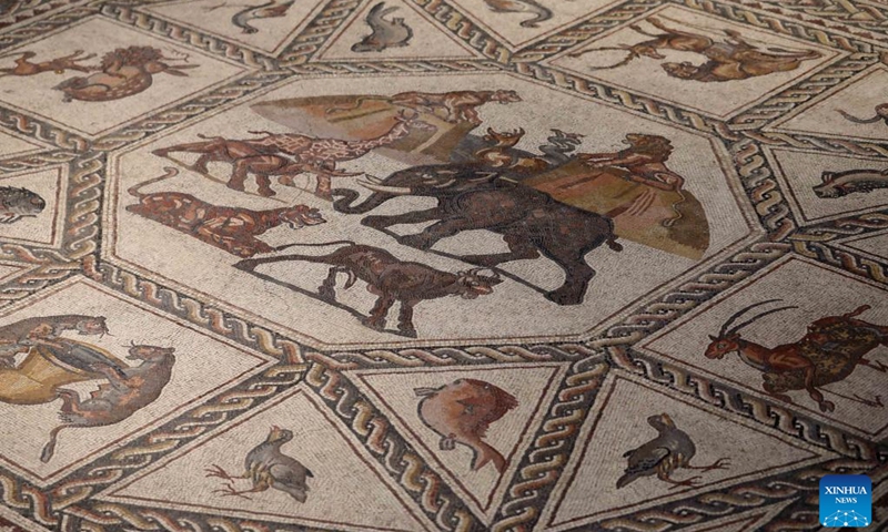 Part of the Lod mosaic is pictured at the Lod Mosaic Archaeological Center in Lod, a city east of Tel Aviv in central Israel, July 4, 2022. The Lod Mosaic Archaeological Center was built to exhibit the unique mosaics dating from the Roman period.(Photo: Xinhua)