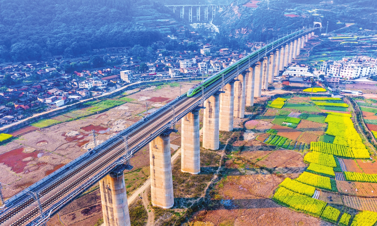 A high-speed train on a section of China-Laos Railway in Yuxi, Southwest China's Yunnan Province Photo: VCG