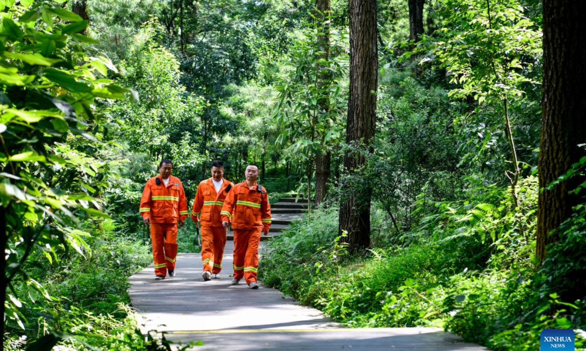 Changpoling National Forest Park in SW China attracts visitors to come ...