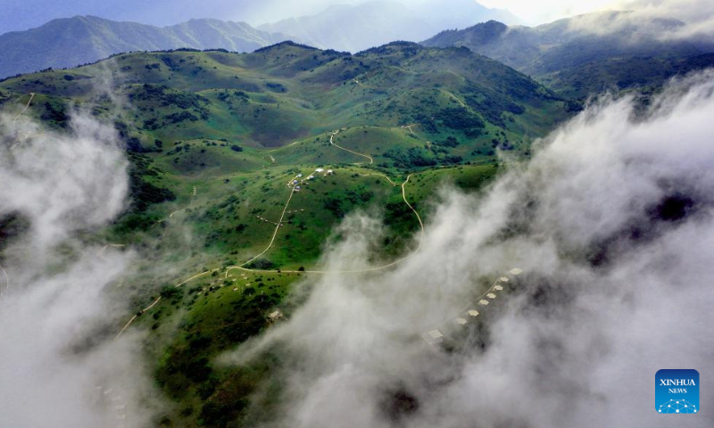 Aerial photo shows the grassland scenery of Bashan Mountain in Langao County, northwest China's Shaanxi Province, July 13, 2022. (Xinhua/Tao Ming)