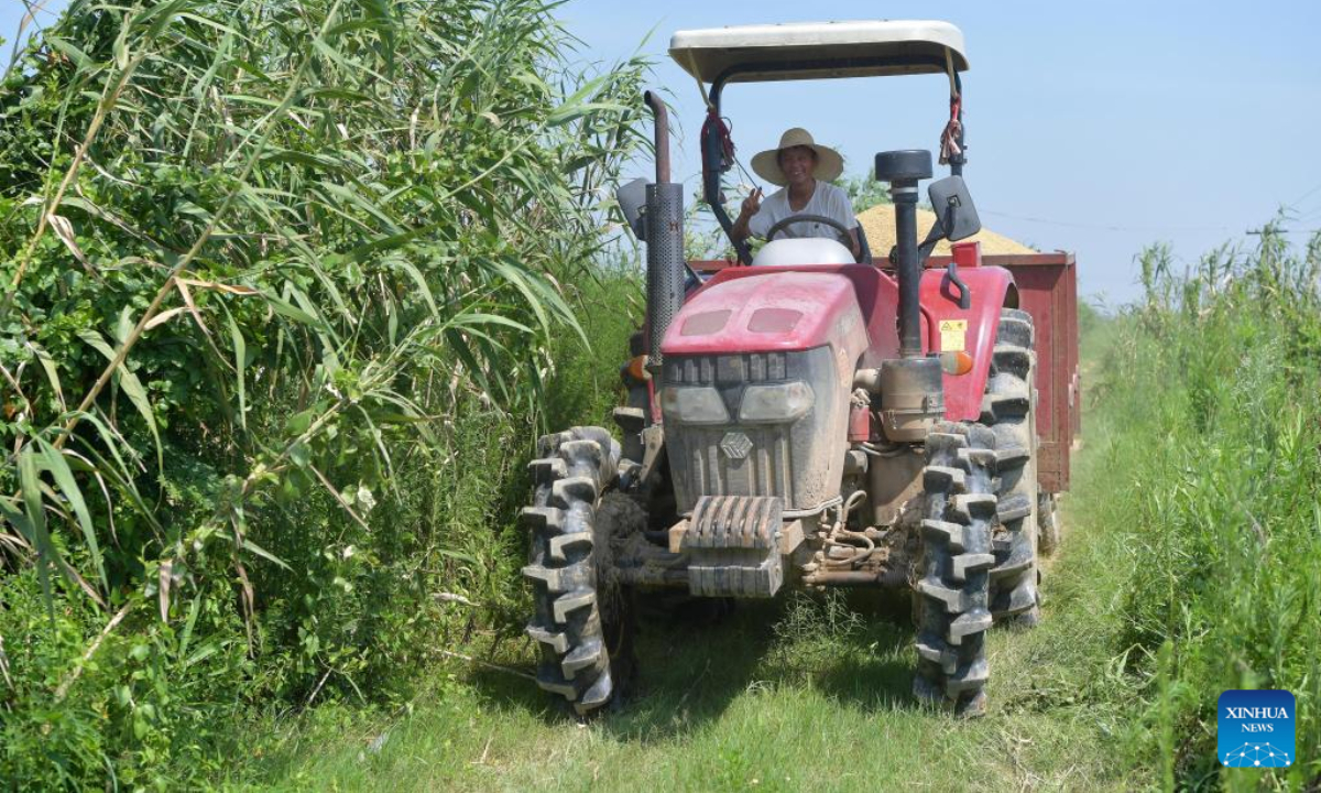 Aerial photo shows agricultural vehicles harvesting early-season rice in Nanchang County, east China's Jiangxi Province, July 13, 2022. Photo:Xinhua