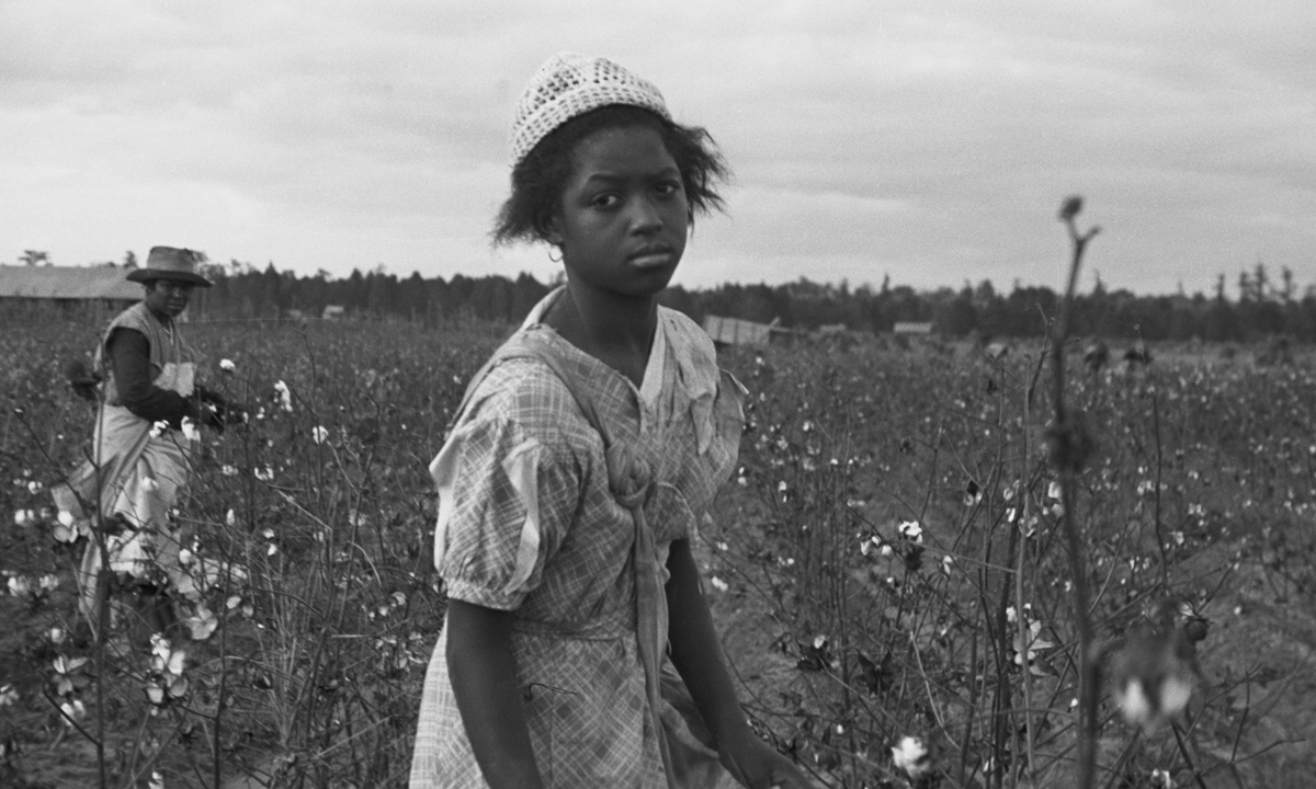 Circa 1935, African Americans pick cotton in Pulaski County, Arkansas. Photo: VCG