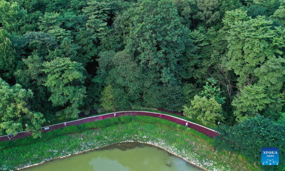 Aerial photo shows people exercising in Changpoling National Forest Park in Guiyang, southwest China's Guizhou Province, July 12, 2022. Photo:Xinhua